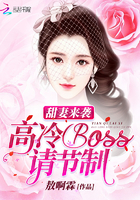 甜妻来袭：高冷Boss，请节制