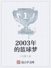 2003年的篮球梦